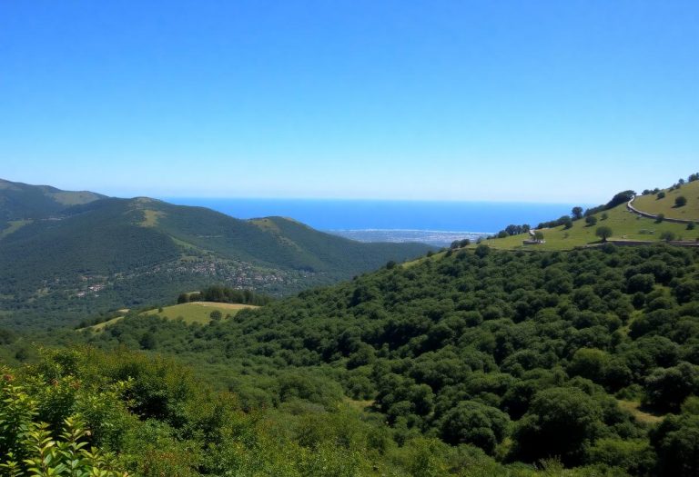 1216x832 01 16 00 24 317815169