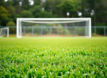 1216x832 05 08 30 38 374838901