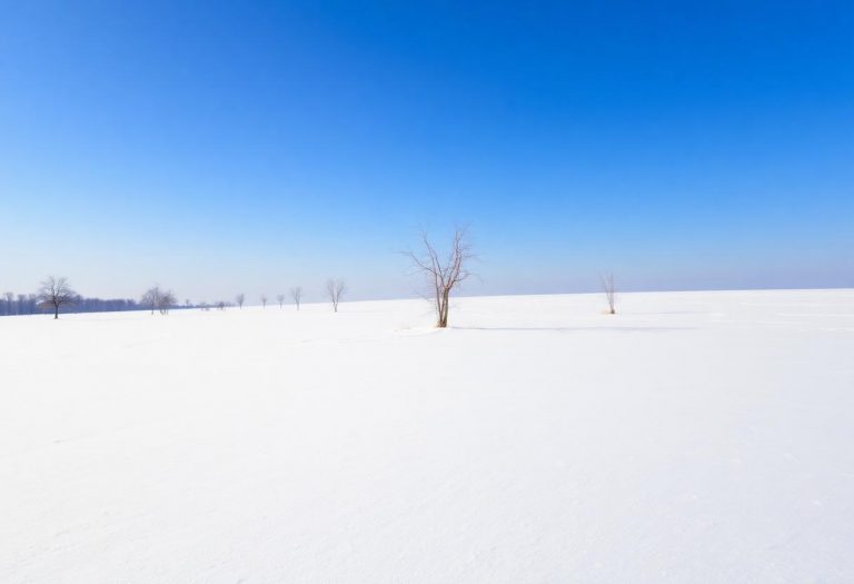 1216x832 12 23 00 40 446739297