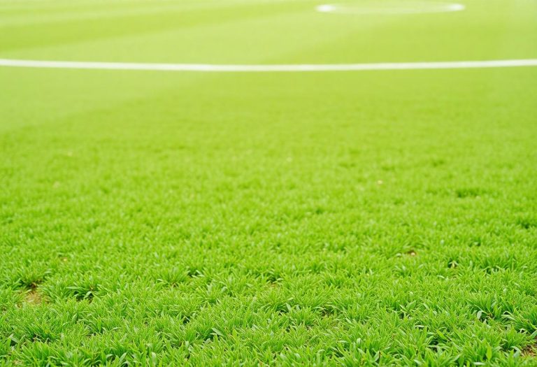 1216x832 15 18 00 39 179447728