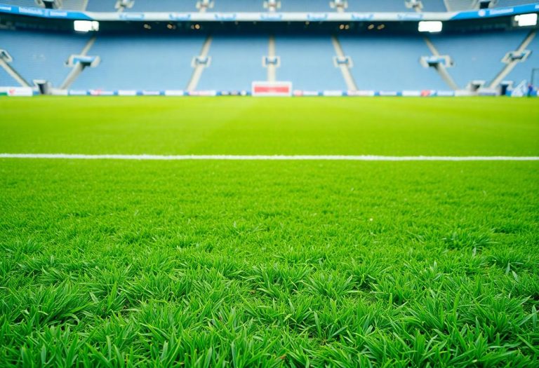 1216x832 27 19 45 36 4620412