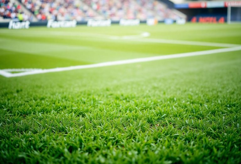 1216x832 29 21 15 24 504982110