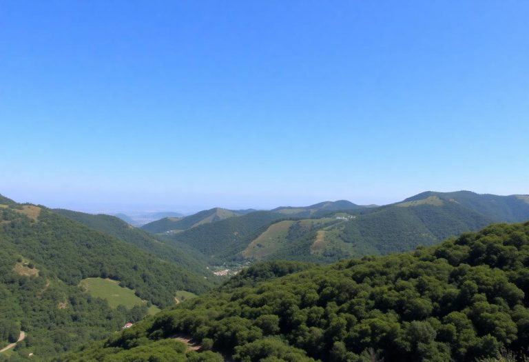 1216x832 30 15 00 22 961546113