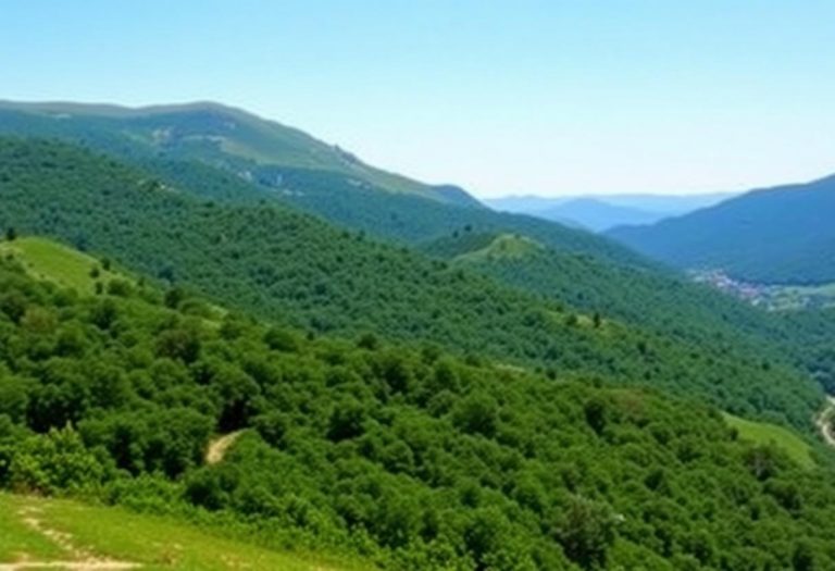 1216x832 07 06 45 21 766109073