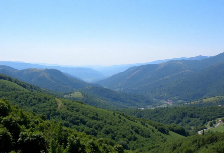 1216x832 11 11 30 23 26469716