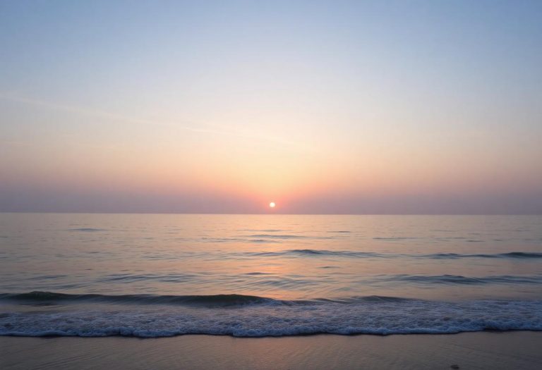 1216x832 11 17 45 24 184060079