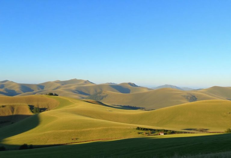 1216x832 12 11 15 26 591013977