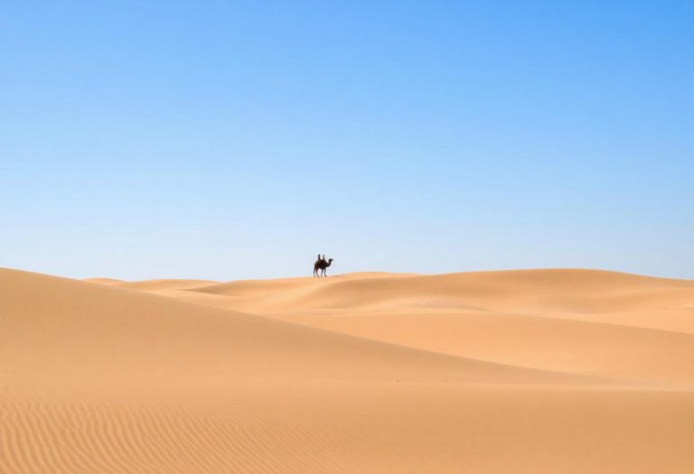 1216x832 17 13 15 24 98535462