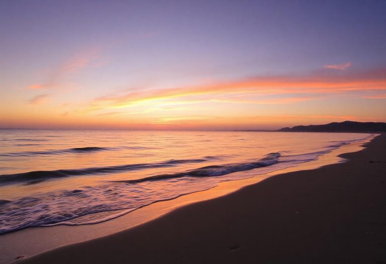 1216x832 20 21 00 29 561577548