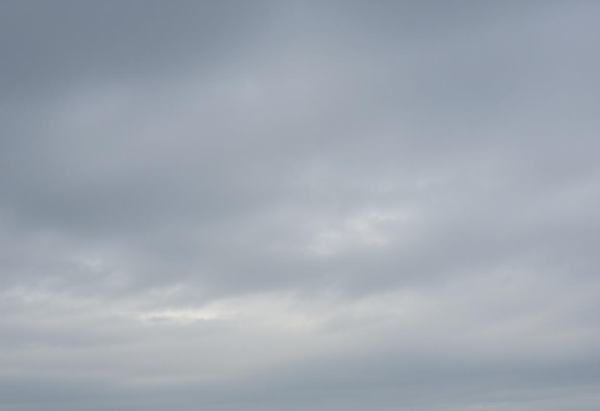 1216x832 25 03 30 25 457871288