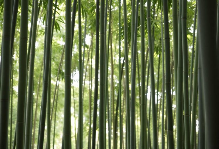 1216x832 25 13 15 29 340237218