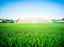 1216x832 06 07 30 29 228984524