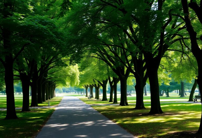 1216x832 12 12 30 27 40810218