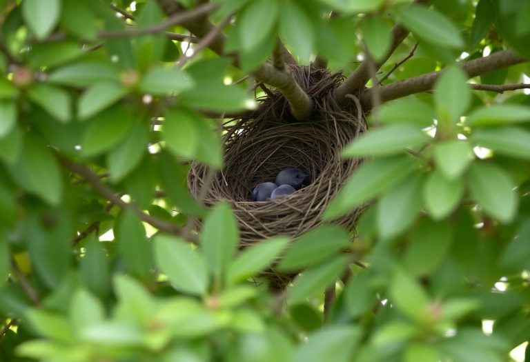 1216x832 15 09 30 31 301748088