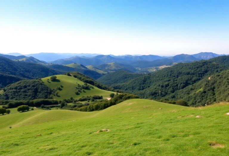 1216x832 20 21 00 21 994837462