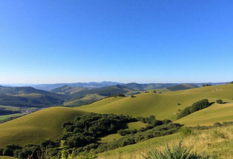 1216x832 11 07 45 31 920650054