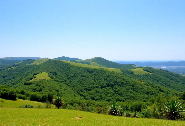 1216x832 15 00 30 21 133424991