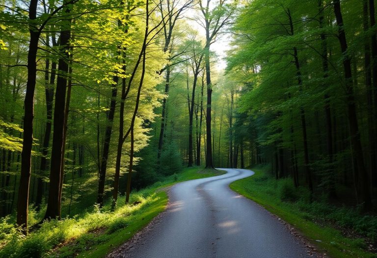 1216x832 20 18 30 32 613595387