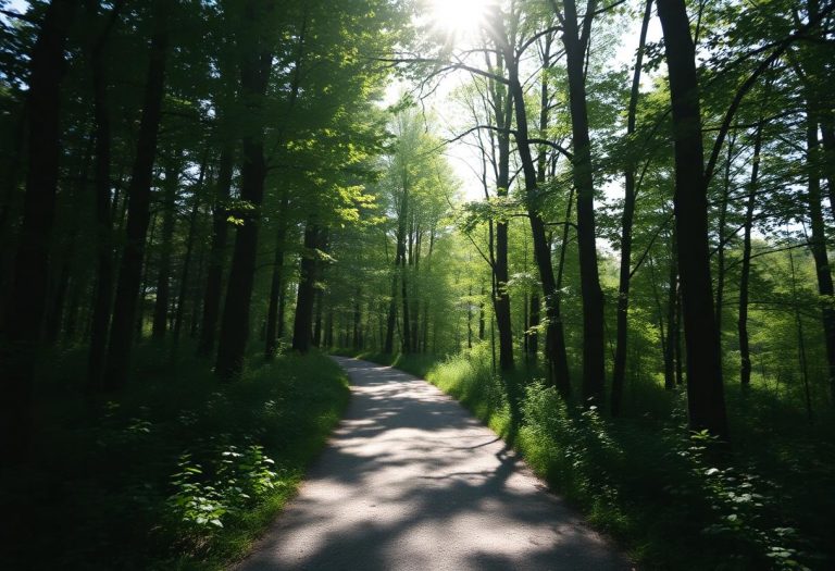 1216x832 15 17 00 33 361813658