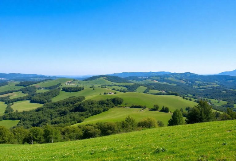 1216x832 17 09 45 23 376162484