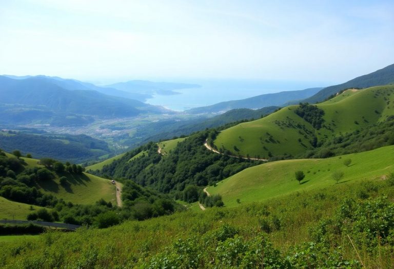 1216x832 20 11 30 28 526508129