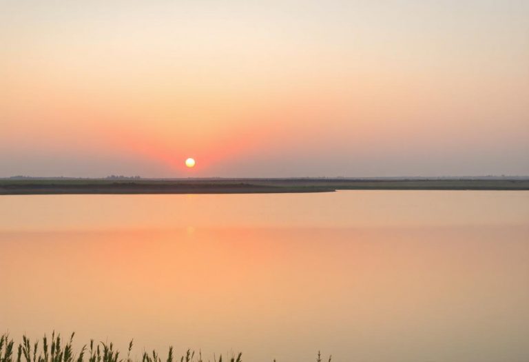 1216x832 20 22 15 31 677596878