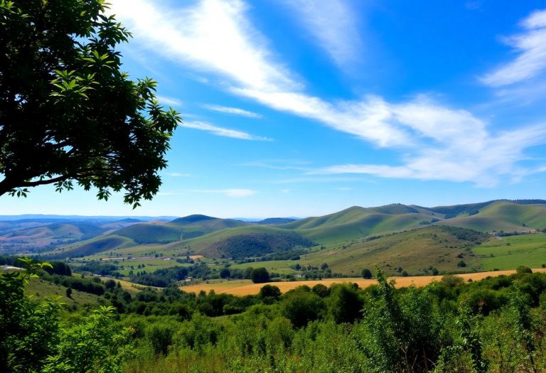 1216x832 21 14 30 25 515006853