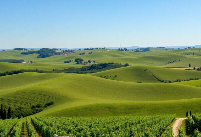 1216x832 24 15 45 24 74134670