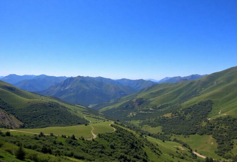 1216x832 26 08 00 27 75491284