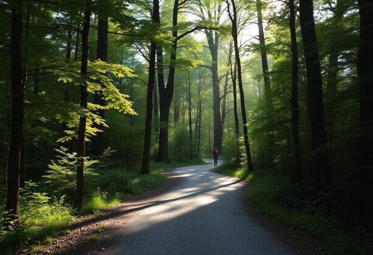 1216x832 18 01 00 20 315924892