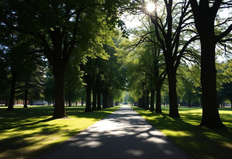 1216x832 21 12 15 19 290189221