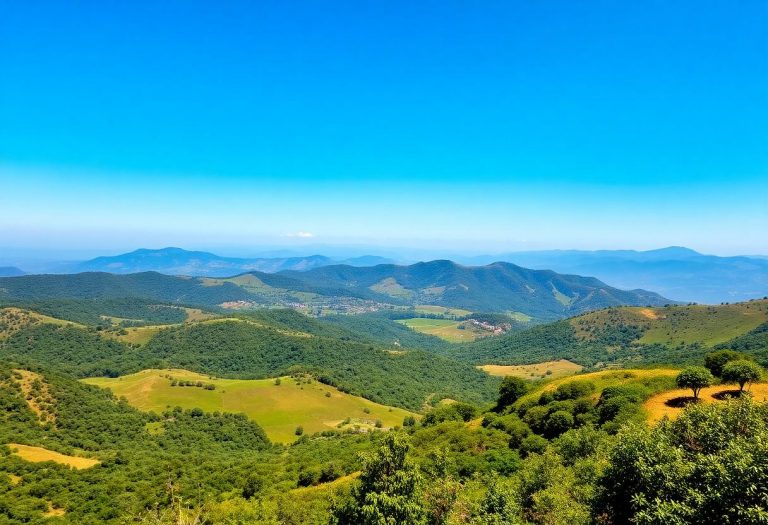 1216x832 01 20 30 20 706579566