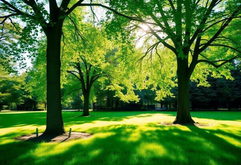 1216x832 05 15 45 23 917881750