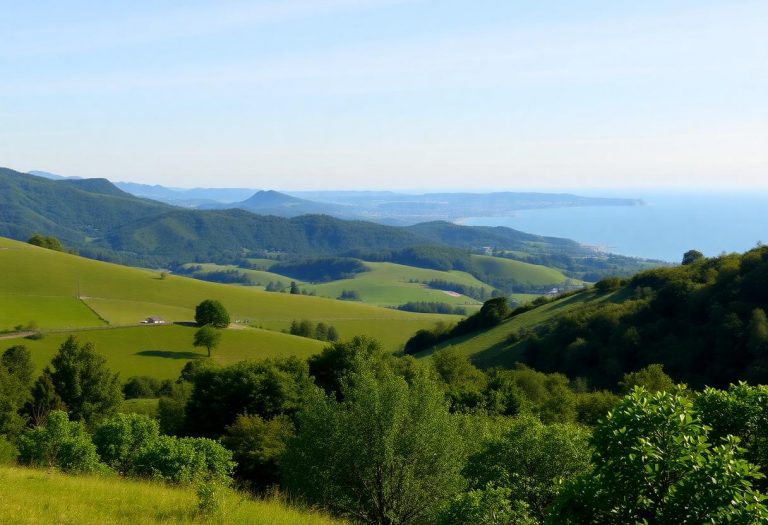 1216x832 09 18 30 19 393262402