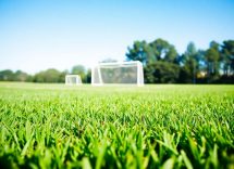 1216x832 20 08 45 24 798038855