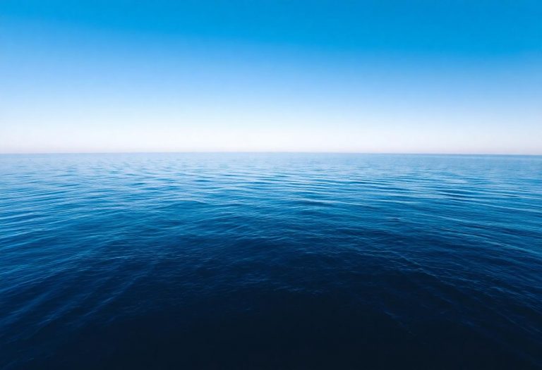 1216x832 20 19 16 47 38796635