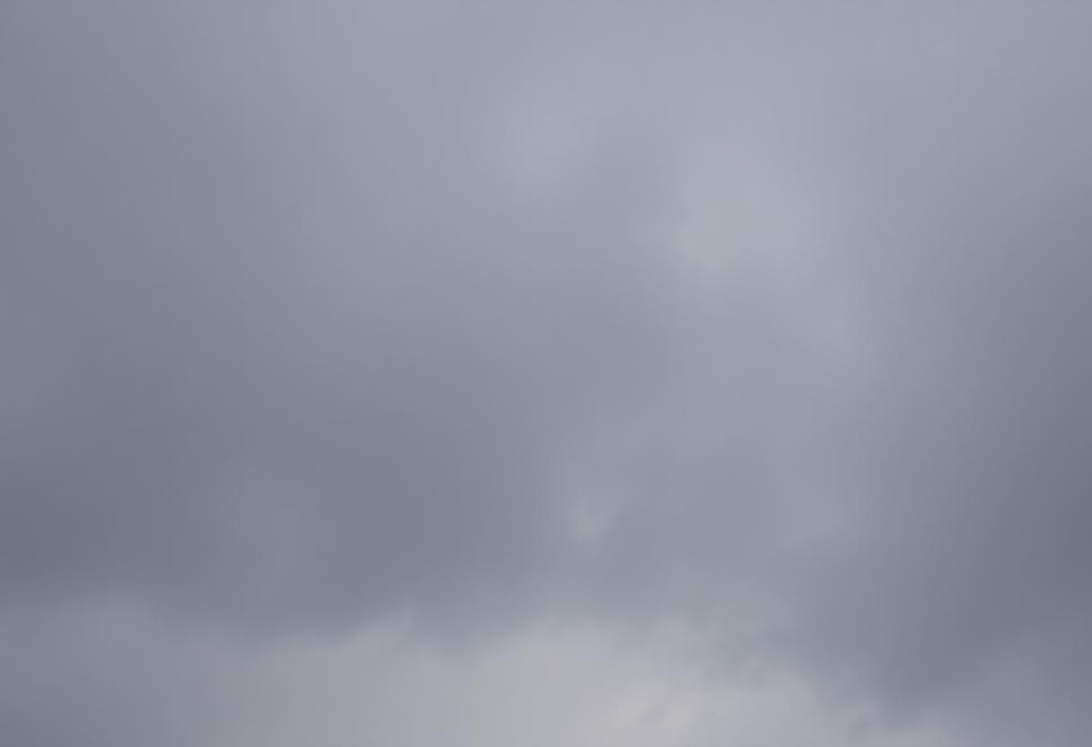 1216x832 25 23 00 24 92041176