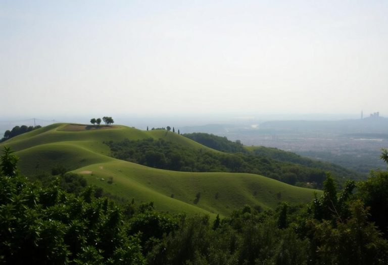 1216x832 28 22 45 24 722203131