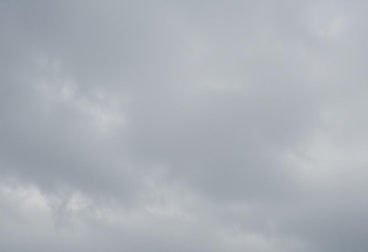 1216x832 29 20 00 24 659908076