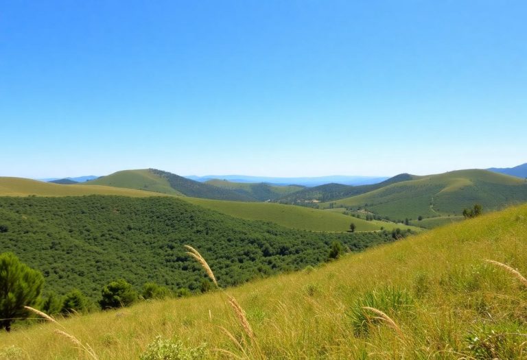 1216x832 30 17 30 38 841182903