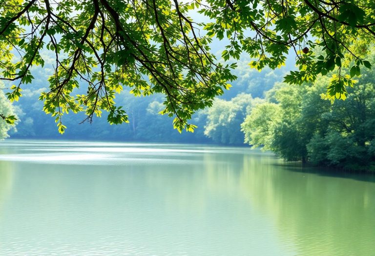 1216x832 05 21 15 18 272717468