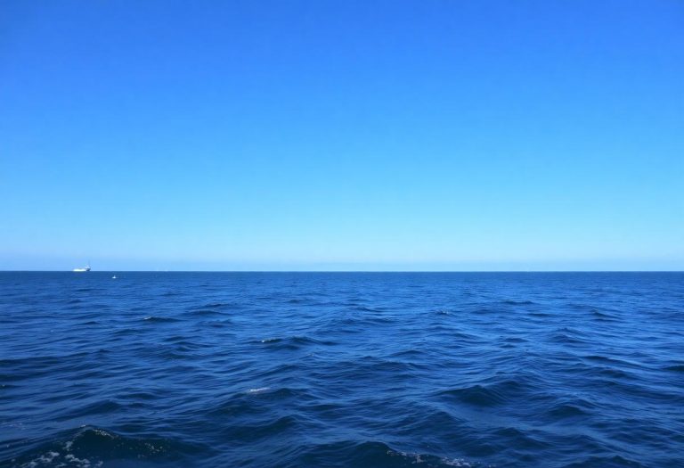 1216x832 08 10 15 23 565359969