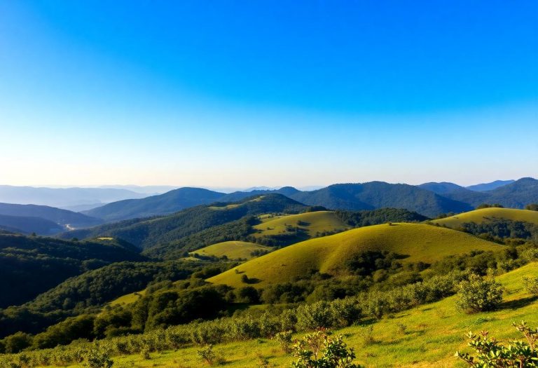 1216x832 09 05 45 21 851379206