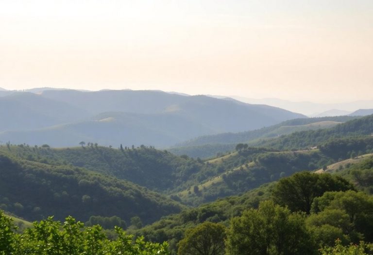 1216x832 10 08 15 19 356377375