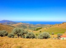 1216x832 10 17 15 24 194016136