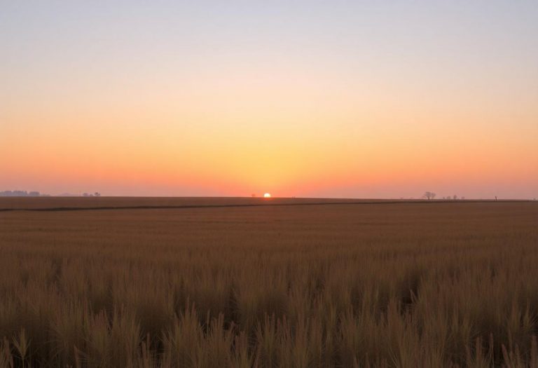 1216x832 18 02 45 20 308191044