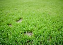 1216x832 26 12 30 20 705282577