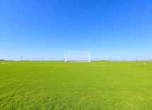 1216x832 30 11 45 21 446930407