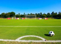 1216x832 07 09 00 28 734769870