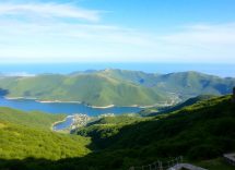 1216x832 12 06 45 16 694736309